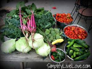 veggie haul 728