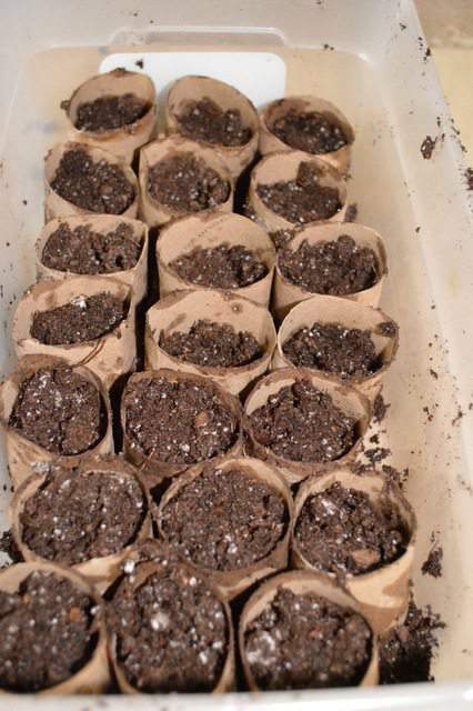 free container to start seeds
