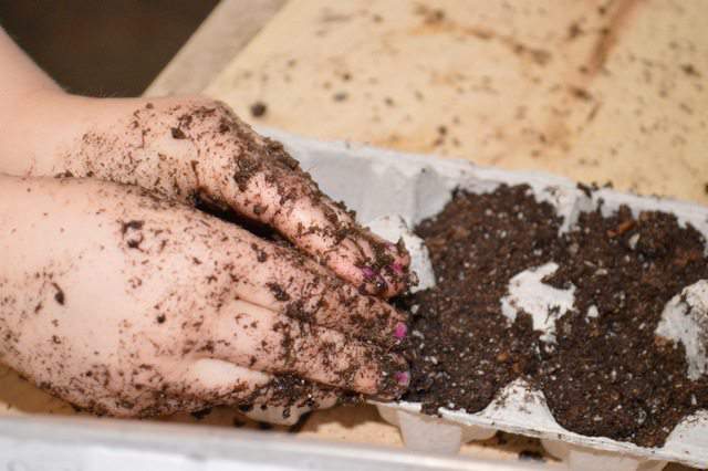 free container to start seeds