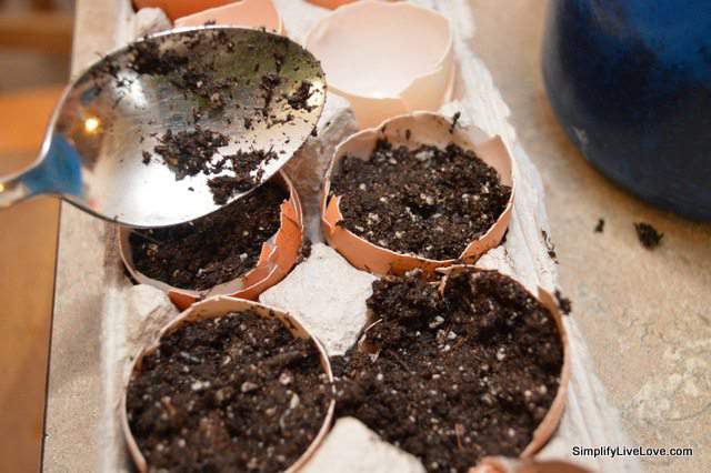 free container to start seeds