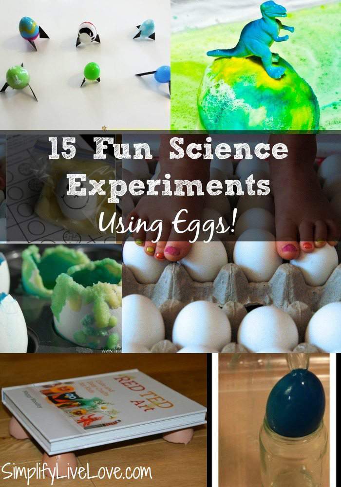 15 Fun Science Experiments Using Eggs! Simplify, Live, Love