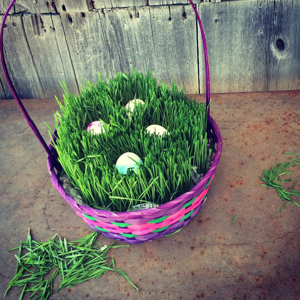 How to Make a Waldorf Wheat Grass Basket to Spring Simplify