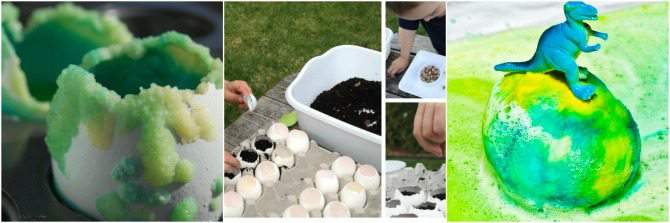 learning science experiences with eggs