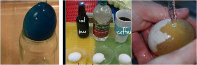 science experiments with eggs